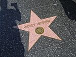 Audrey Hepburn Hollywood Star