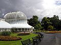 Belfast Botanic Gardens glasshouse