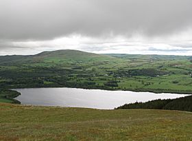 Binsey and Bass Lake from Sale Fell