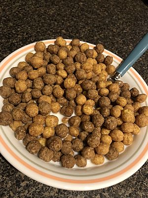 Bowl of Reeses Puffs
