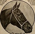 Breeder and sportsman (1911) (20224936489)