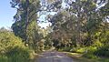 Buckley Road 2022