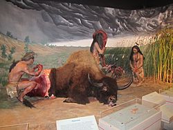 Buffalo butchering exhibit, Lubbock Lake Landmark IMG 1592