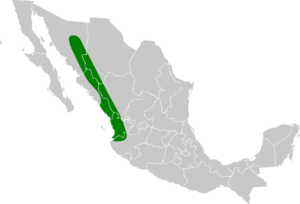 Callipepla douglasii map.svg