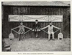 Cantilever bridge human model.jpg
