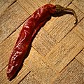 Capsicum annuum-Red Chilli Pepper 01