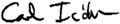 Carl Icahn signature