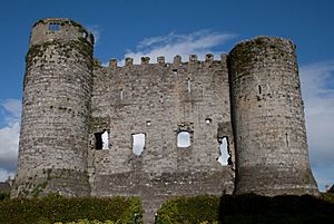 Carlow Castle W 2009 09 03