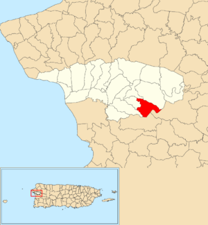 Location of Casey Arriba within the municipality of Añasco shown in red