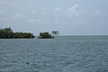 Cayos de Caña Gorda-4 (western part of Cayo Aurora)