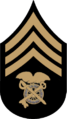 Chevron - Quartermaster Sergeant 1902-1909