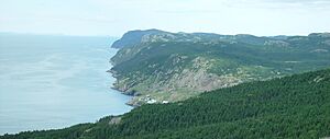 Conceptionbay northview