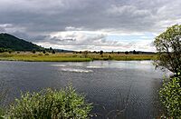 Cors Caron National Nature Reserve (38601503385).jpg