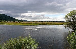 Cors Caron National Nature Reserve (38601503385)