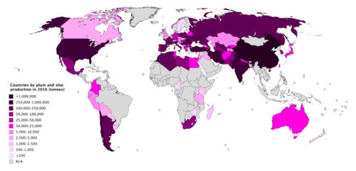 Countries by plum and sloe production in 2016