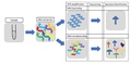 DNA (meta)barcoding differences.pdf