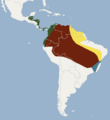 Distribution of Mimon crenulatum