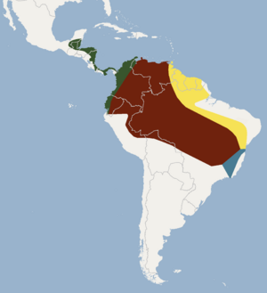 Distribution of Mimon crenulatum.png