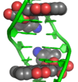 Doxorubicin–DNA complex 1D12