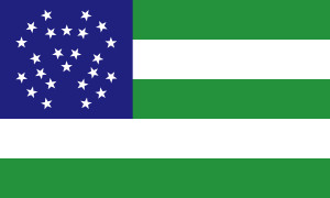 Flag of the New York City Police Department