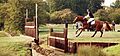 Foxpitt1