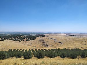 Göbekli Tepe - landscape