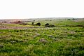 Great Plains LCC (14285769265)