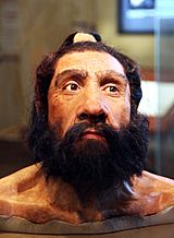 Homo neanderthalensis adult male - head model - Smithsonian Museum of Natural History - 2012-05-17