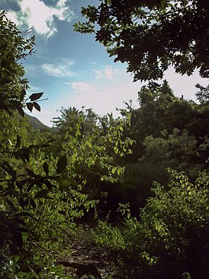 Huerto de los Fermines en San Juan Bautista.JPG