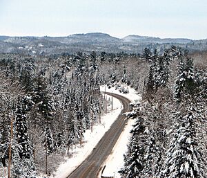 Hwy 28 Ontario