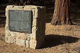 IGP0112 The great lost Sequoia Grove at Converse Basin.jpg