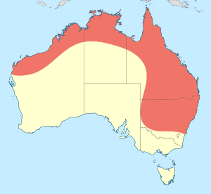 Ictinogomphus australis distribution map.svg