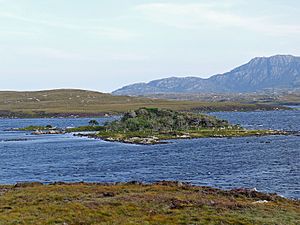 Loch Druidibeg and Hecla (geograph 4662005)