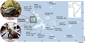 Map of the Galapagos tortoises