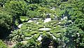 Maze Garden, Kowloon Park, Tsim Sha Tsui, Kowloon, Hong Kong - DSC06248
