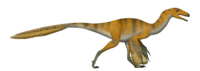 Migmanychion.png