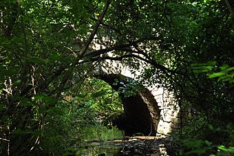 A water-level photograph of the Samson Occom Bridge, largely obscured by trees.