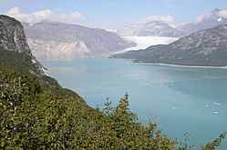 Muir Glacier, 2004, Glacier Bay National Park & Preserve (6808651941)