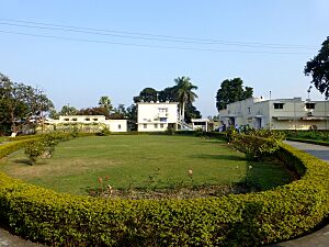 Nalanda Archaeologicall Museum India - panoramio
