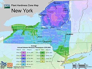 New York plant hardiness zone map 2012