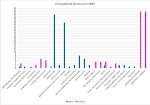 Occupational Structure of Twinstead (1881) 