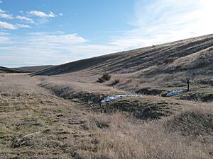 Oregon Trail ruts - Keeney Pass Oregon
