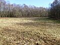 Paines Cross Meadow (2)