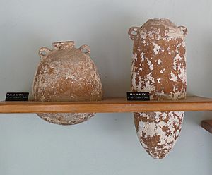 Palestinian amphorae