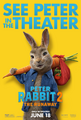 Peter Rabbit 2 - RT poster