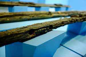 Planks of a Butuan balangay in the Butuan National Museum
