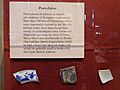 Porcelain Shards FSCN0763