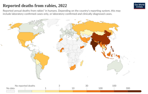 Reported rabies deaths, World, 2022 (cropped)