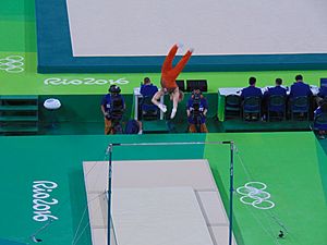 Rio 2016- Artistic gymnastics - men's qualification (28715218063)
