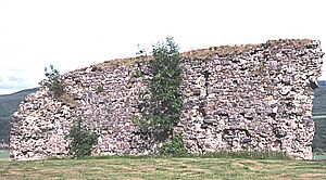 Rothes Castle - geograph.org.uk - 249877